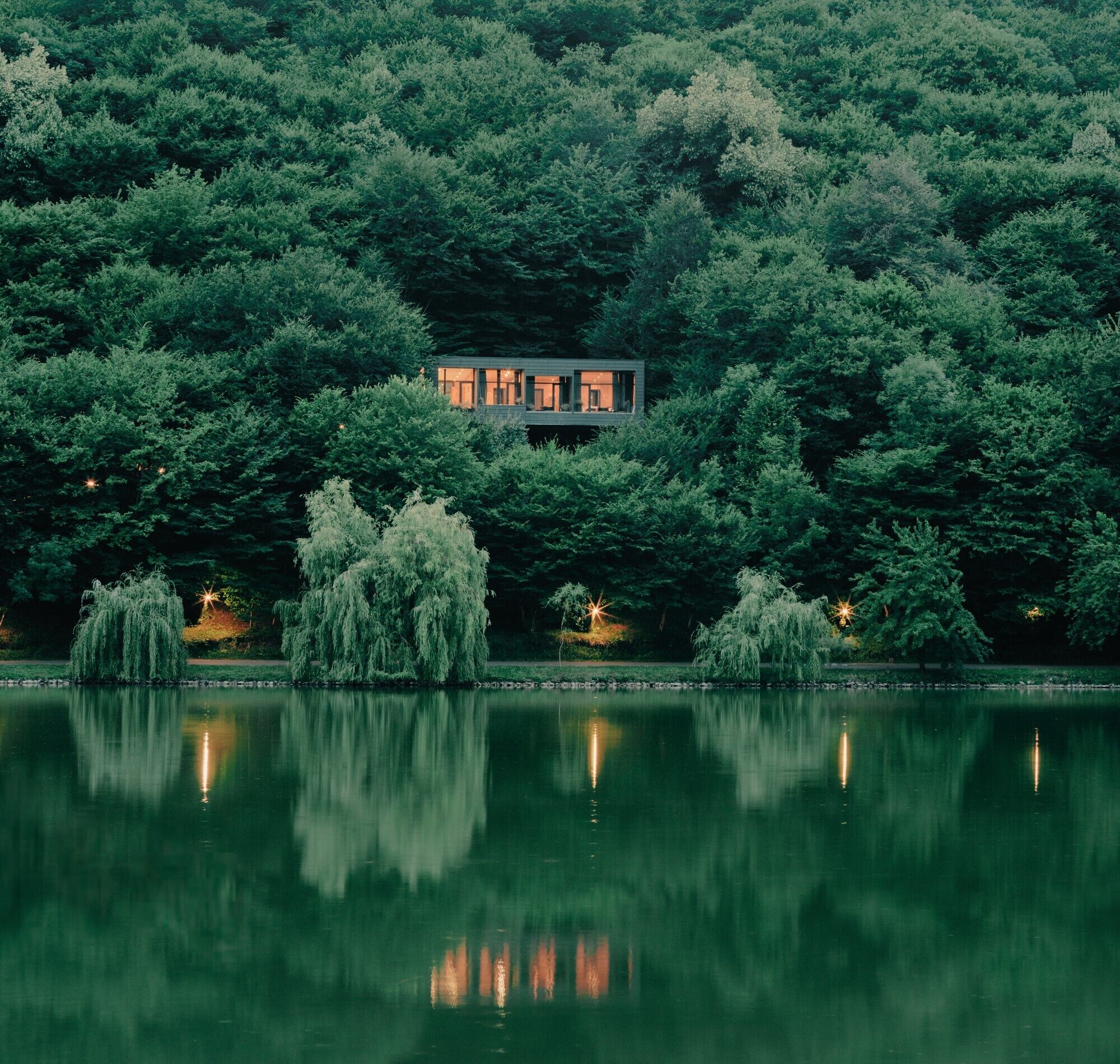 Una casa rodeada de un bosque frondoso con un lago al frente.