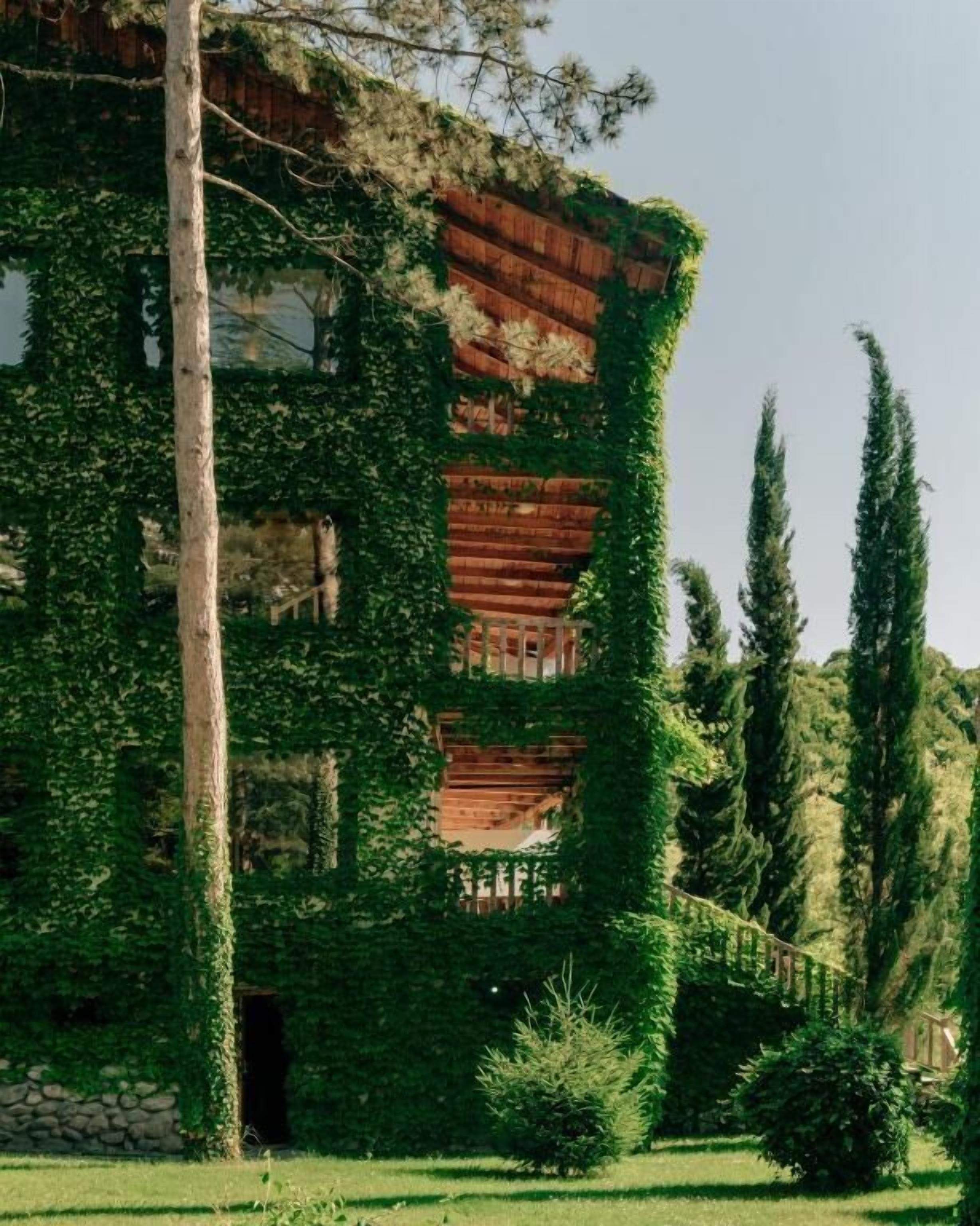 A building with a rustic, ivy-covered facade, featuring multiple windows and a stone base.