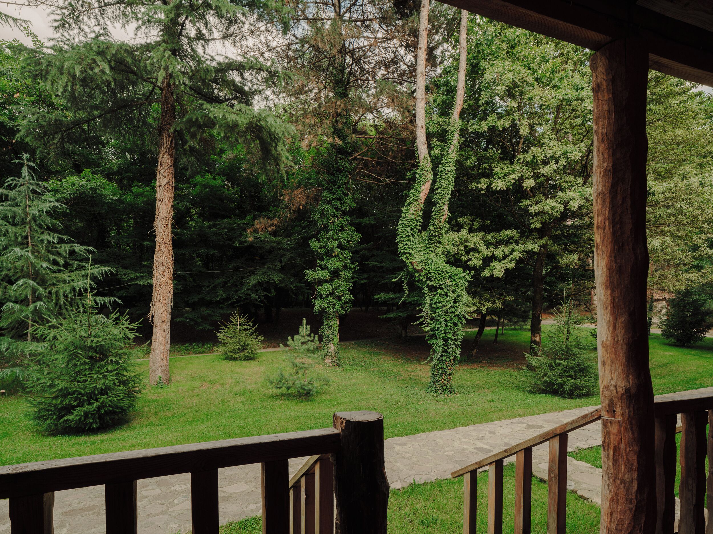 Vistas desde la habitación