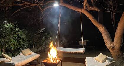 Asiatic Lion Lodge