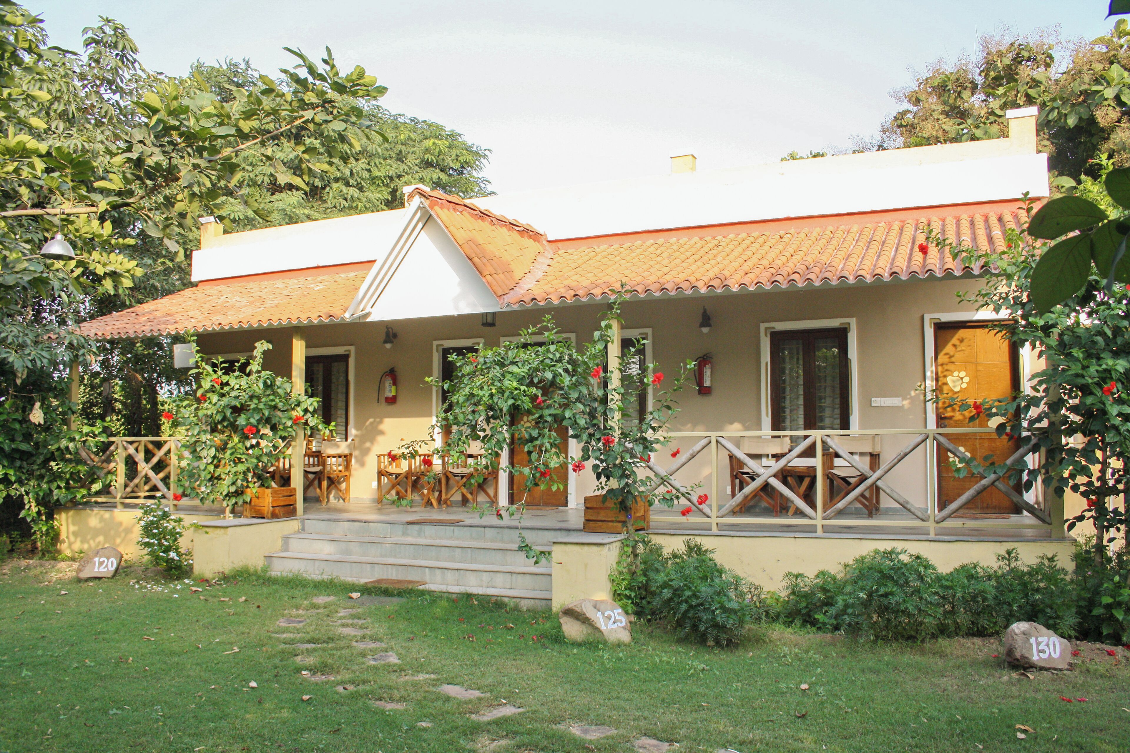 Sábanas de algodón egipcio, ropa de cama de alta calidad y escritorio 