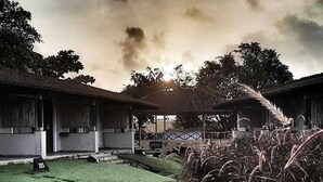 A traditional building with a thatched roof, surrounded by well-maintained grass and a few decorative elements. - Asiatic Lion Lodge (Mendarda)