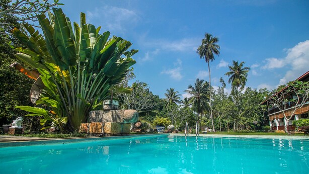 A clear blue pool surrounded by tropical vegetation and palm trees. - Nooit Gedacht Heritage Hotel-Original Dutch Governor's House (Unawatuna)