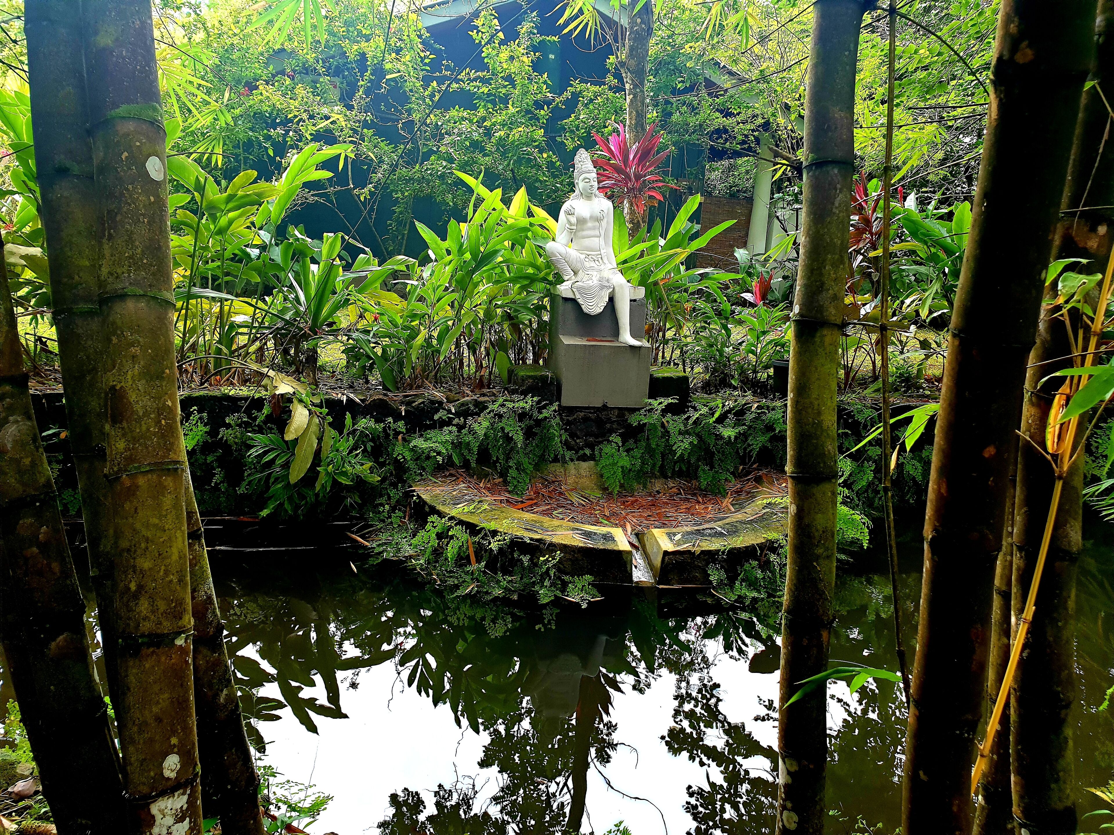 A serene garden with a statue of a seated figure, surrounded by lush greenery and a small pond.