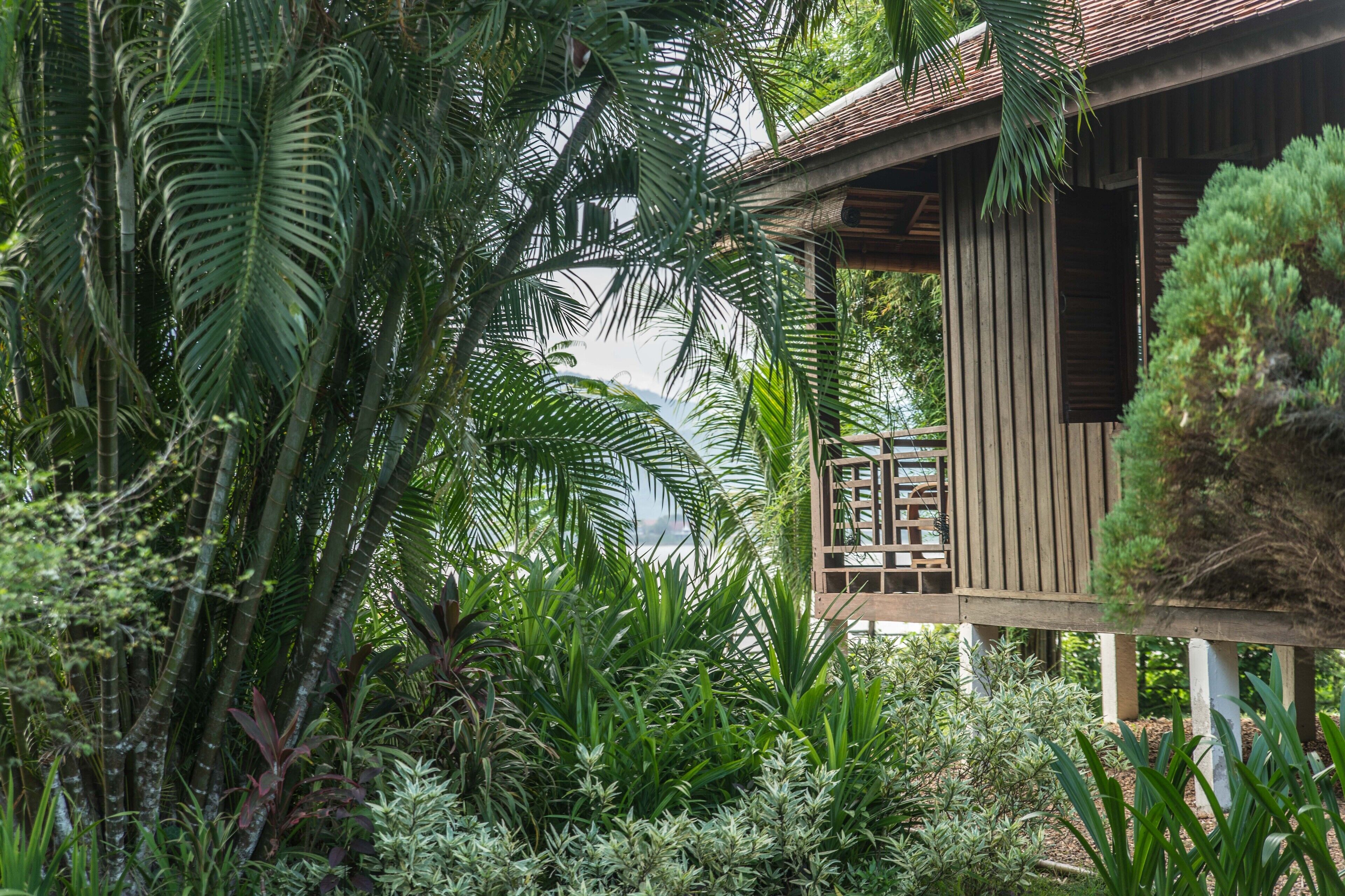 double or twin room, balcony, beach view (riverfront upper floor) | property grounds