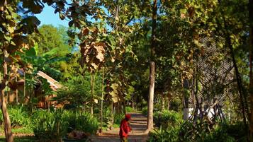Un sendero en un jardín exuberante con árboles y plantas.