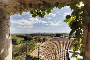 Romantic Suite, Terrace | View from room - Encís d Empordà (Corca)