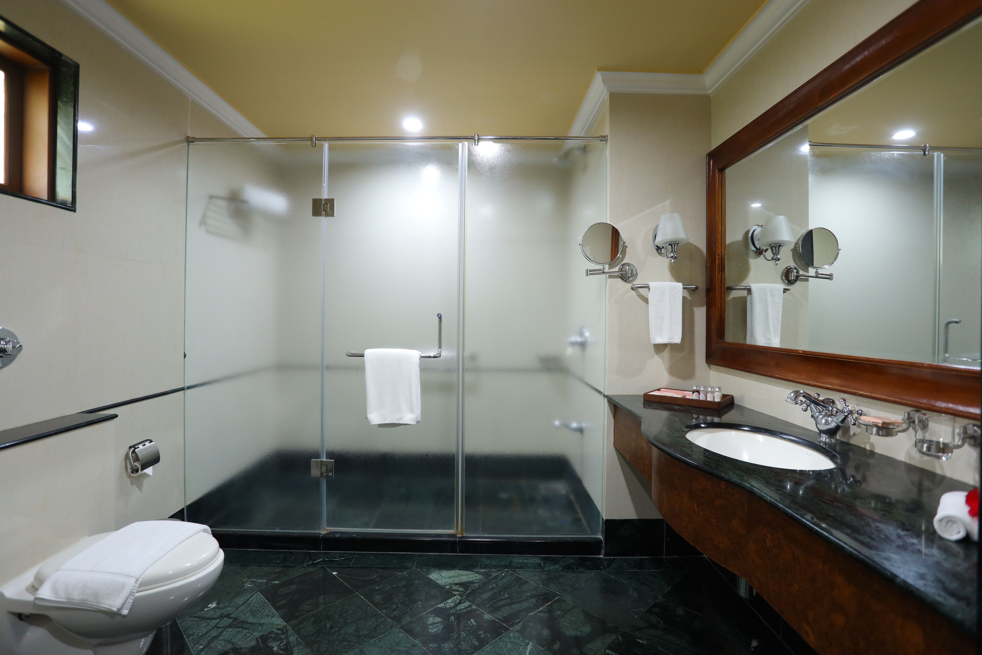 separate bathtub and shower, rainfall showerhead, free toiletries