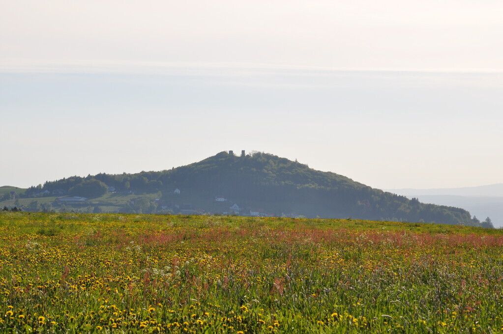 Photo - Rhön-Hotel Sonnenhof -