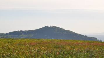 A hill with a small building on top, surrounded by a field of wildflowers.
