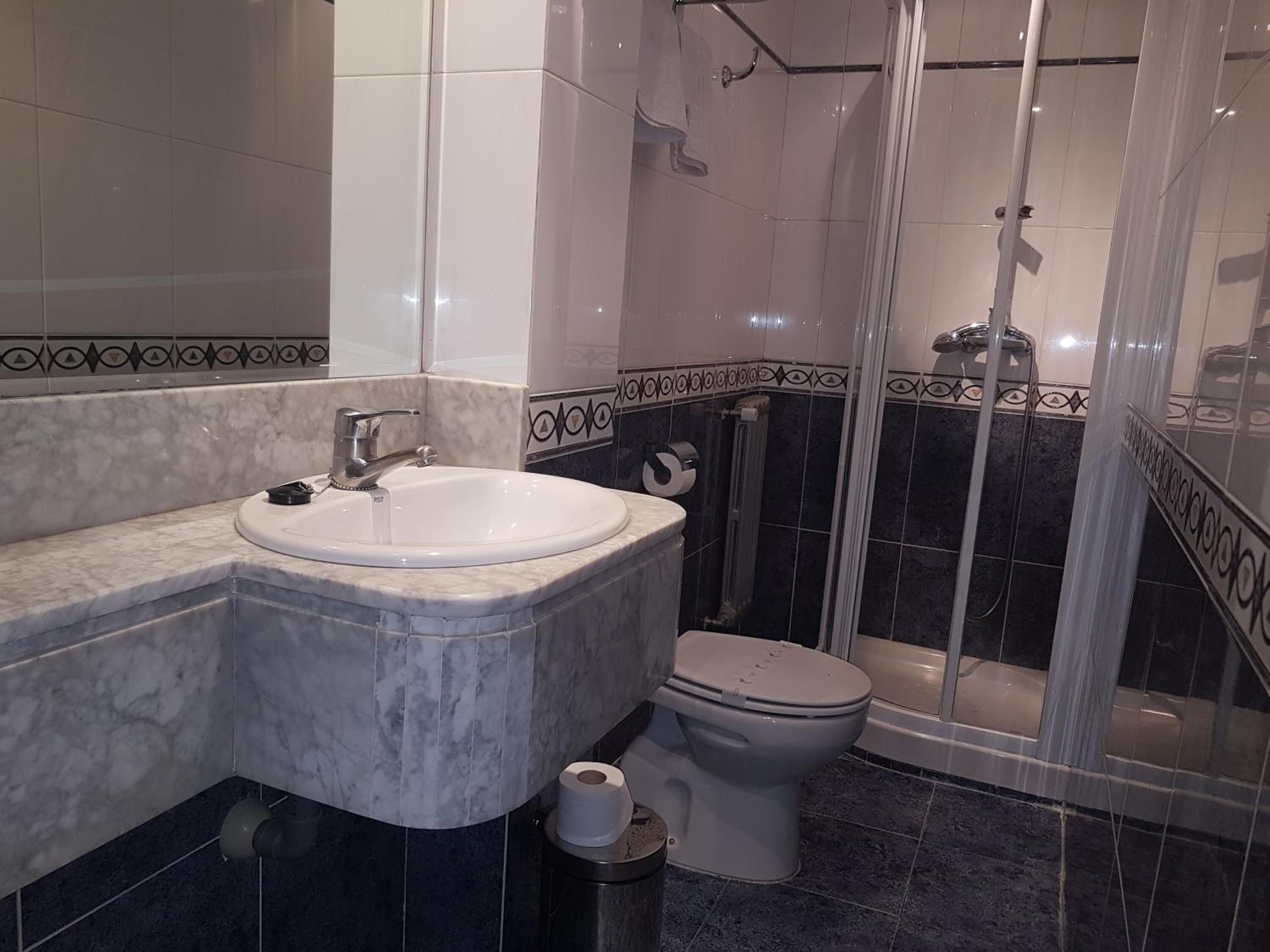 Une salle de bain avec un lavabo, des toilettes et une douche.