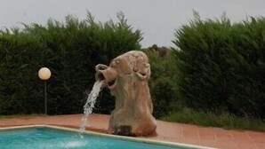 A stone sculpture of a lion's head with water flowing from its mouth into a pool. - Hotel Janas (Tertenia)