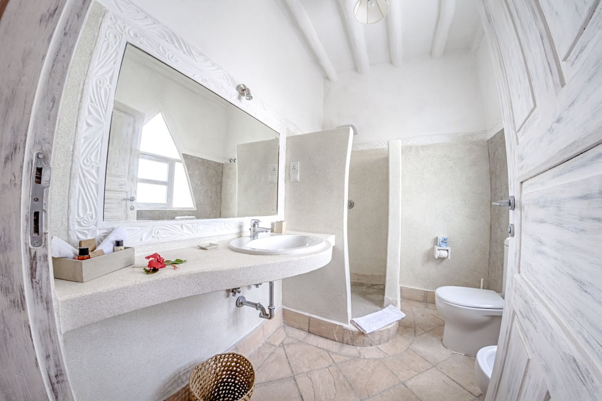 shower, free toiletries, hair dryer, towels