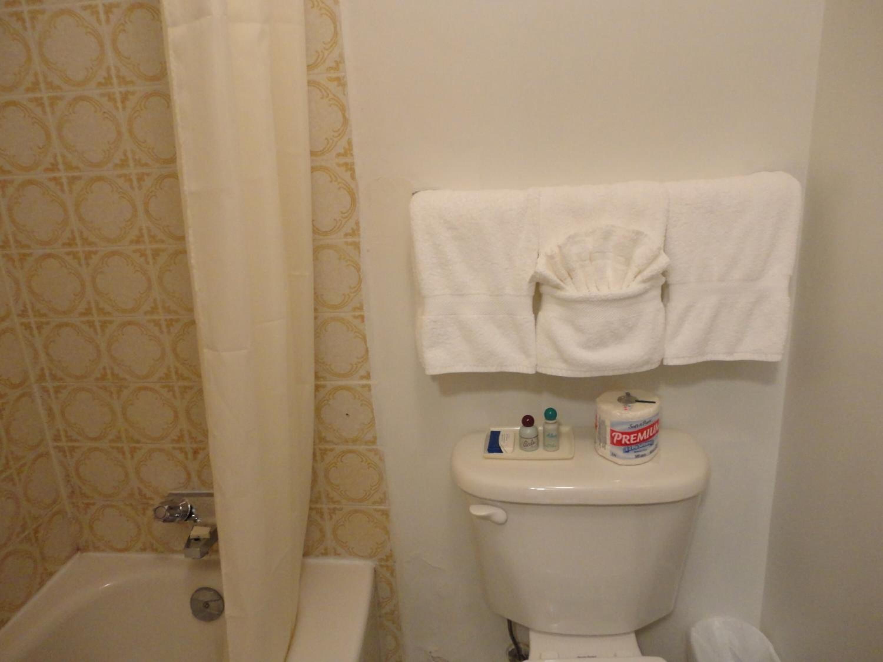 combined shower/bathtub, free toiletries, hair dryer, towels
