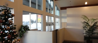 South Hill Motor Inn