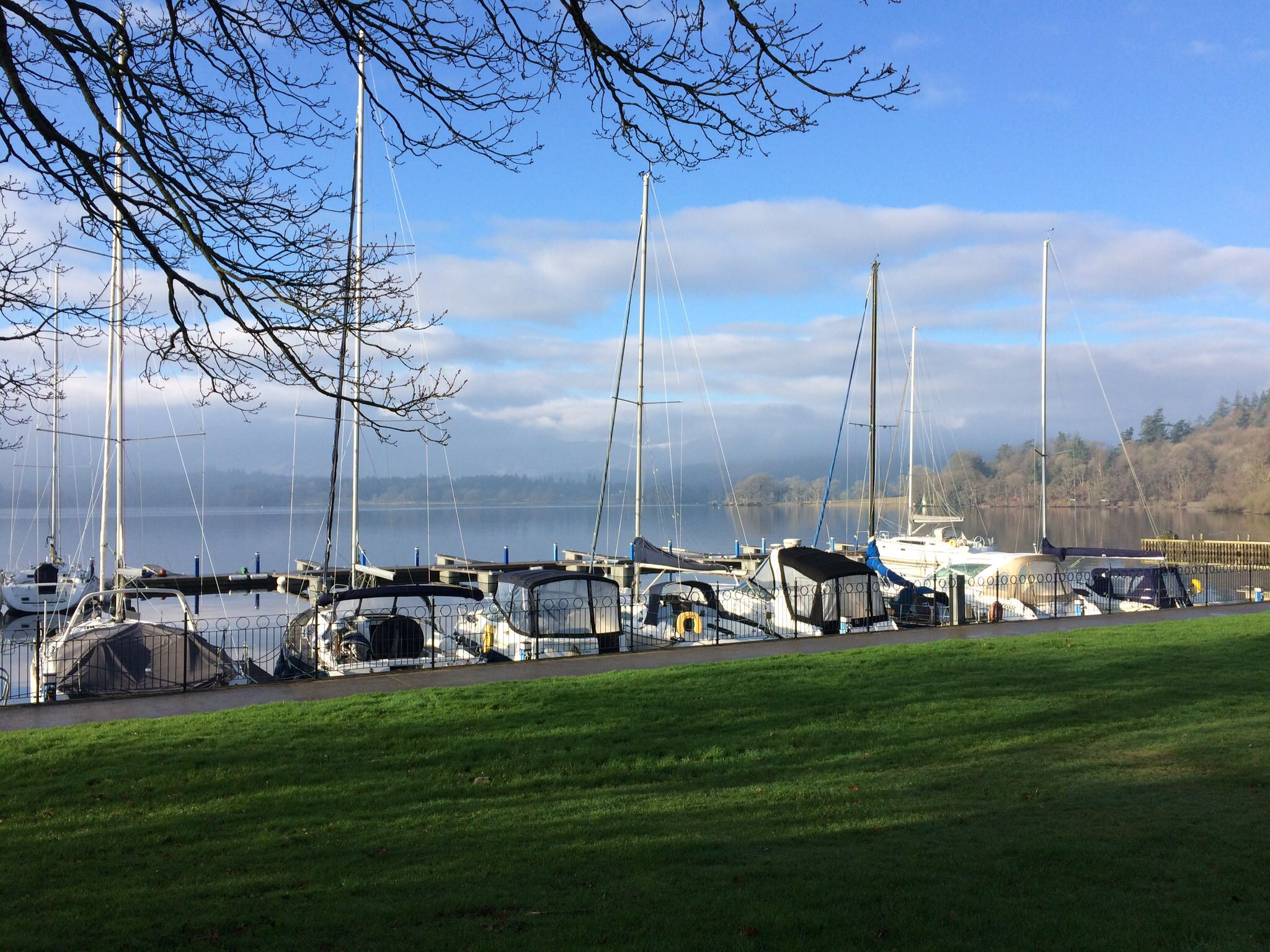 A marina with multiple sailboats docked, a grassy foreground, and a cloudy sky.