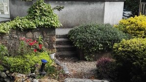 Miscellaneous - Hazelwood (Waterford)
