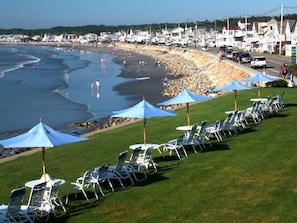 A beachside area with rows of sun loungers under blue umbrellas, a rocky shoreline, and a row of houses in the background. - The Cutty Sark Motel (York Beach)
