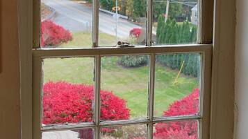 Suite, 1 King Bed, Fireplace (3rd floor, accessible by stairs only) | View from room