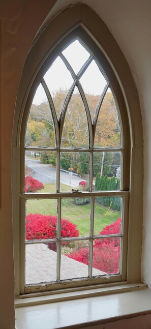 Vista desde la habitación