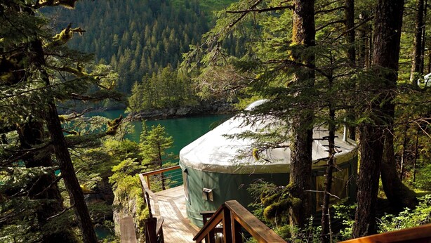 A wooden staircase leading to a cabin in a forested area with a view of a lake. - Orca Island Cabins (Seward)
