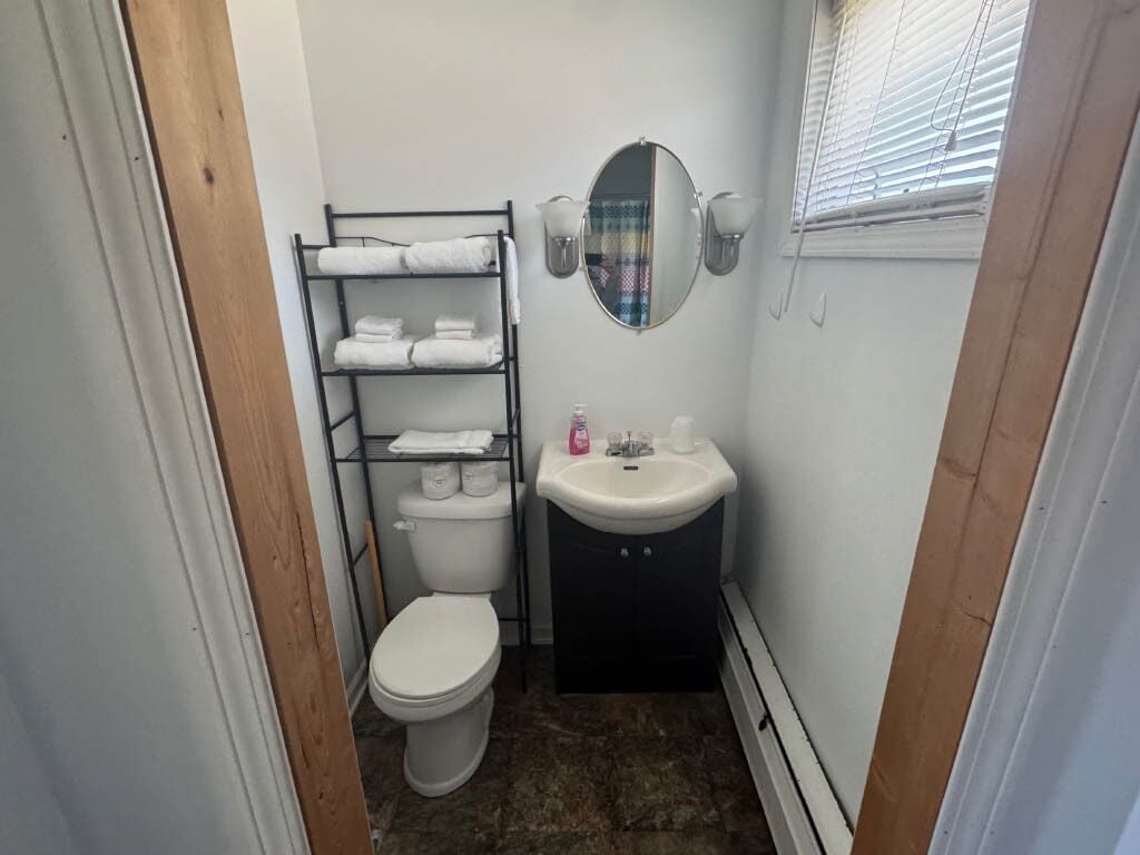 A small bathroom with a toilet, a sink, a mirror, and a towel rack.
