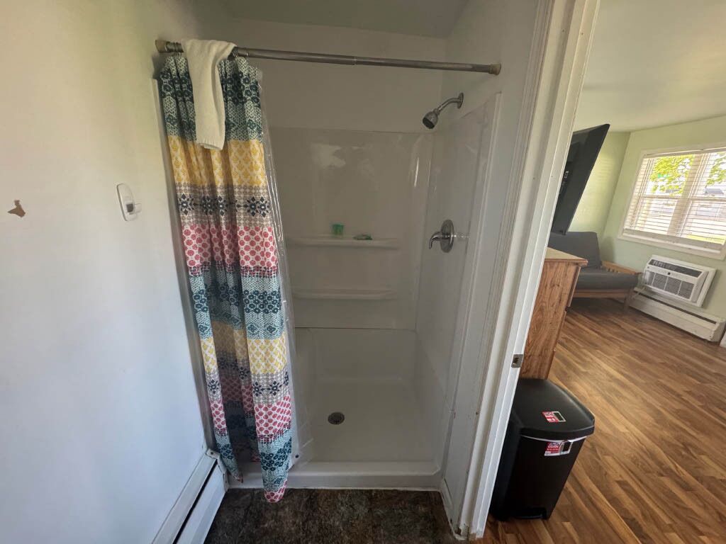 A walk-in shower with a patterned shower curtain, a wooden floor, and a window with blinds.