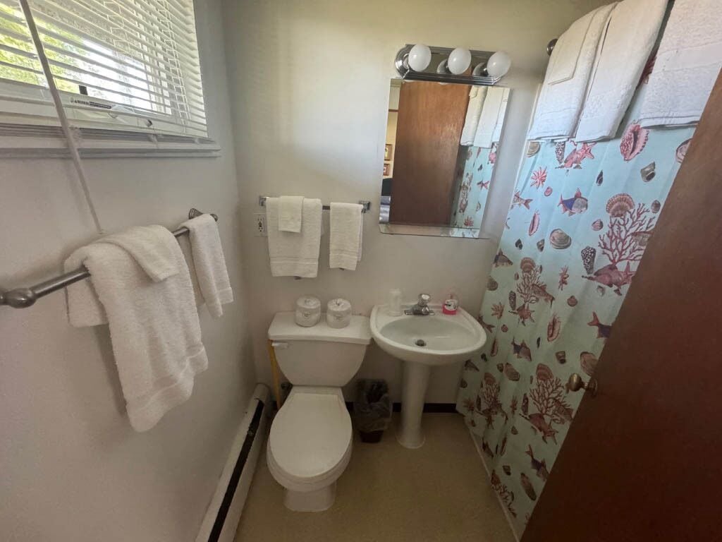 Un baño pequeño con inodoro, lavabo y un espejo sobre él. Hay toallas colgadas en un perchero y una cortina de ducha con estampado de peces.