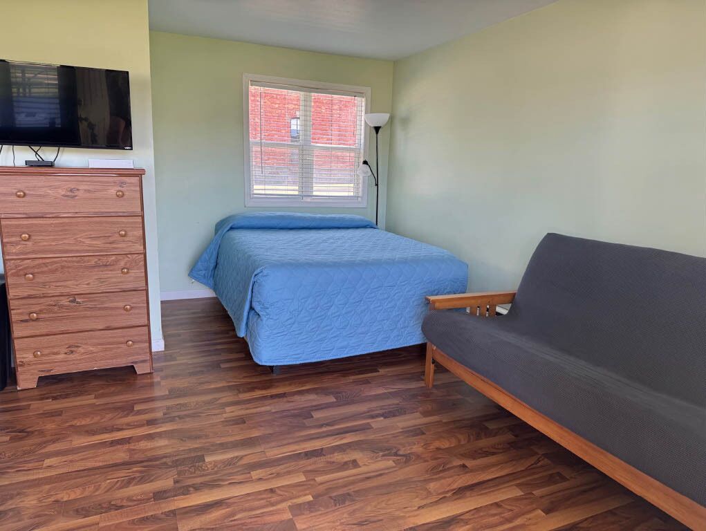 A room with a bed, a sofa, a dresser, and a television.