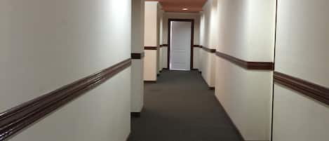 Un pasillo largo y estrecho con pisos alfombrados y paredes de color claro con detalles oscuros.