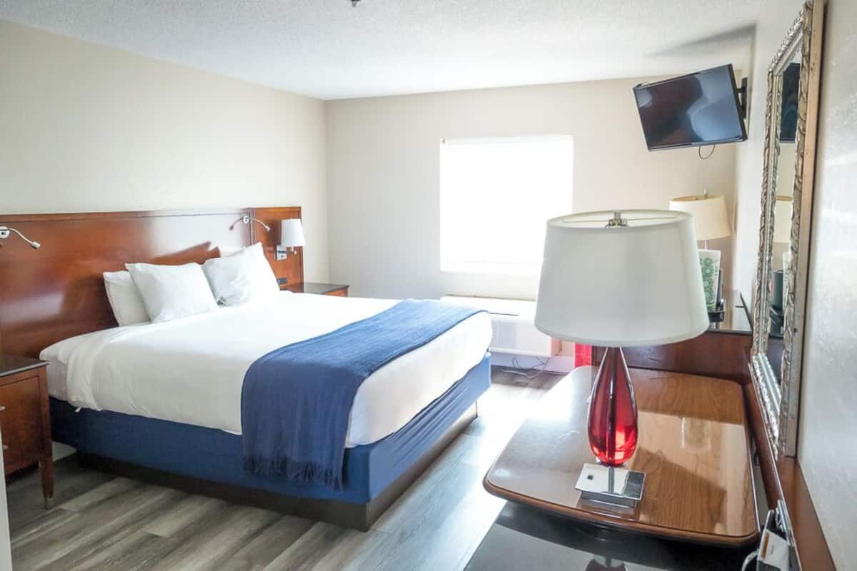 A hotel room with a wooden bed, a bedside table with a lamp, a TV mounted on the wall, and a window providing natural light.