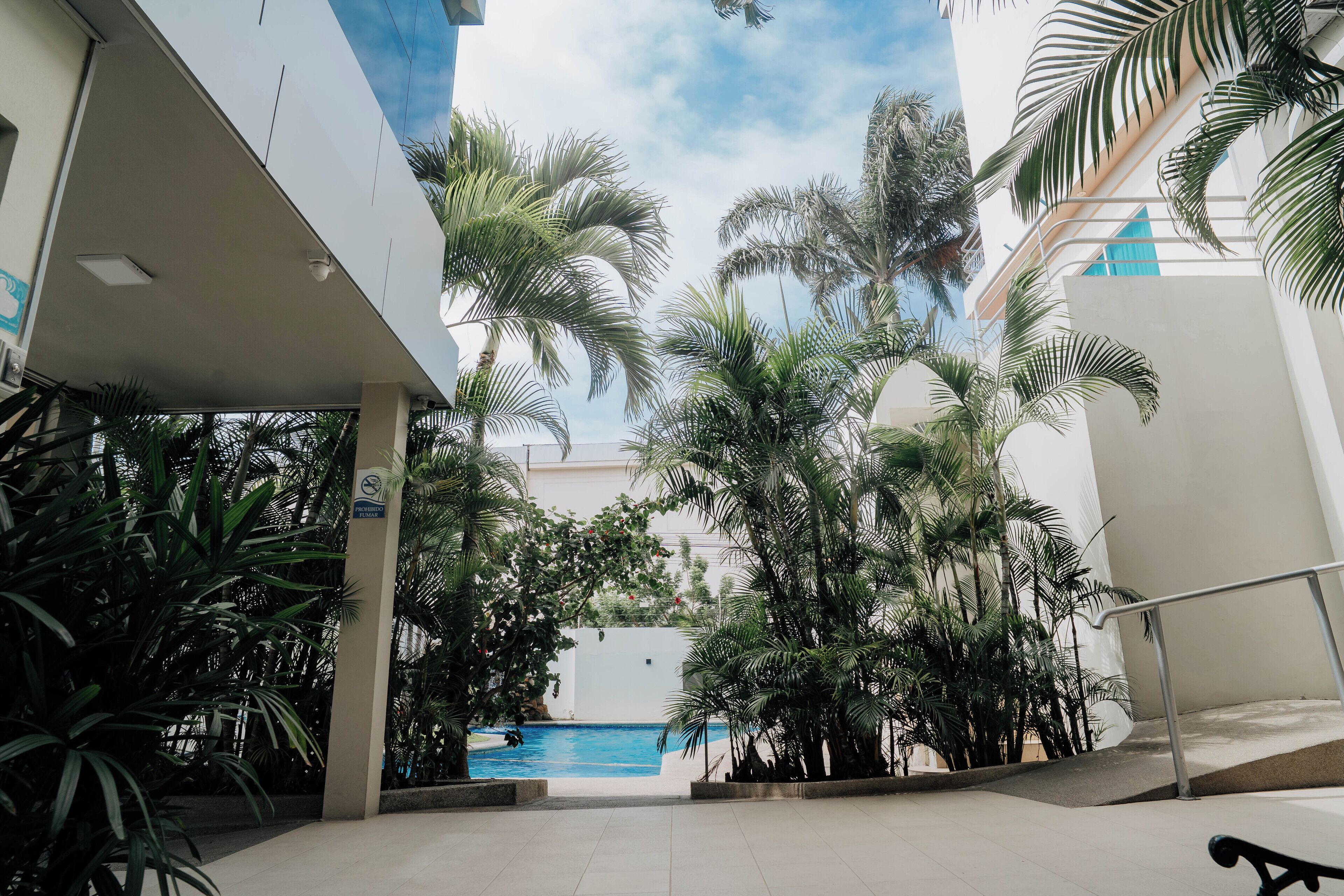 A pool area with palm trees and a clear blue sky.