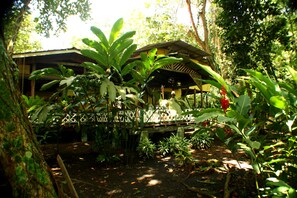 Garden - Camarona Caribbean Lodge (PUERTO VIEJO, COCLES LIMON)