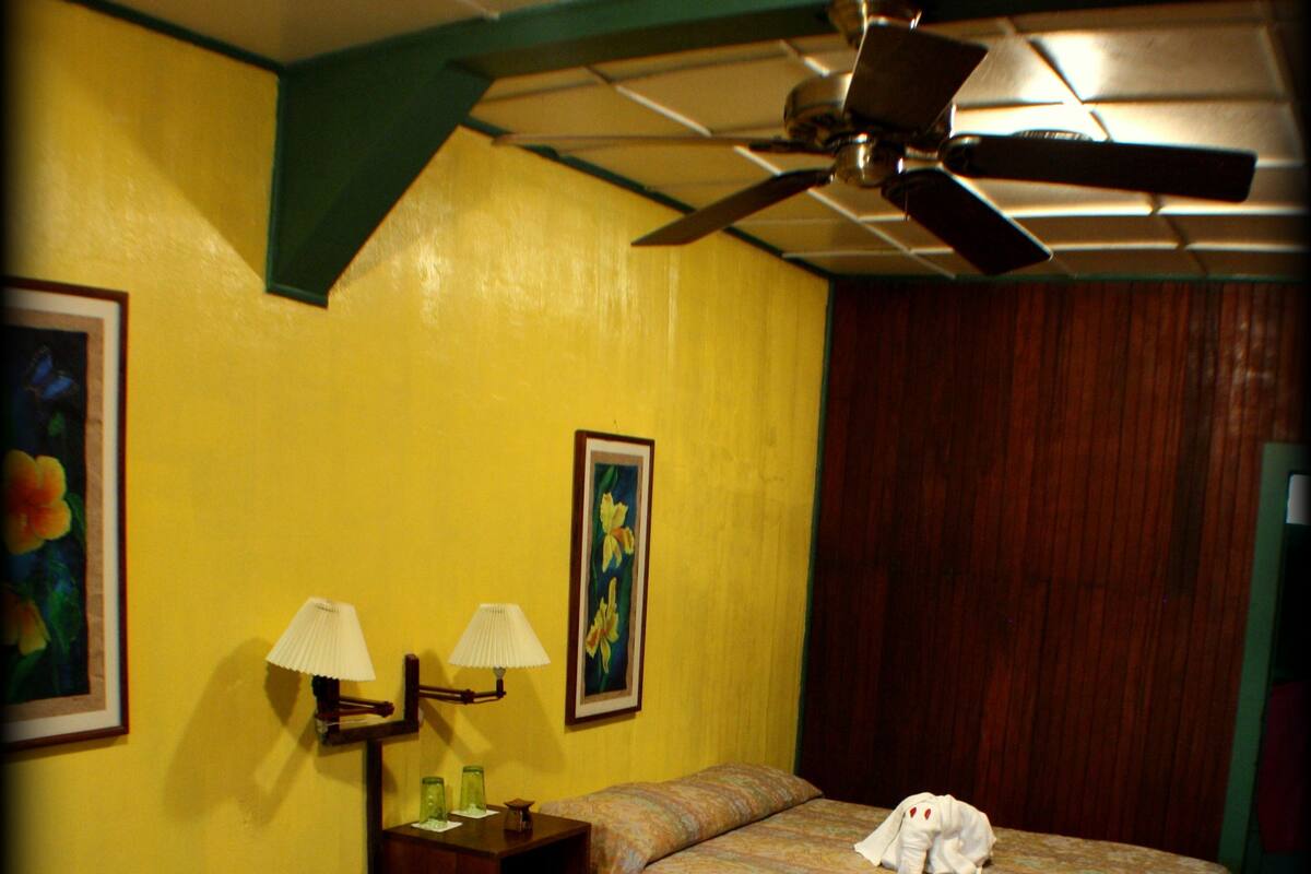 In-room safe, desk, rollaway beds