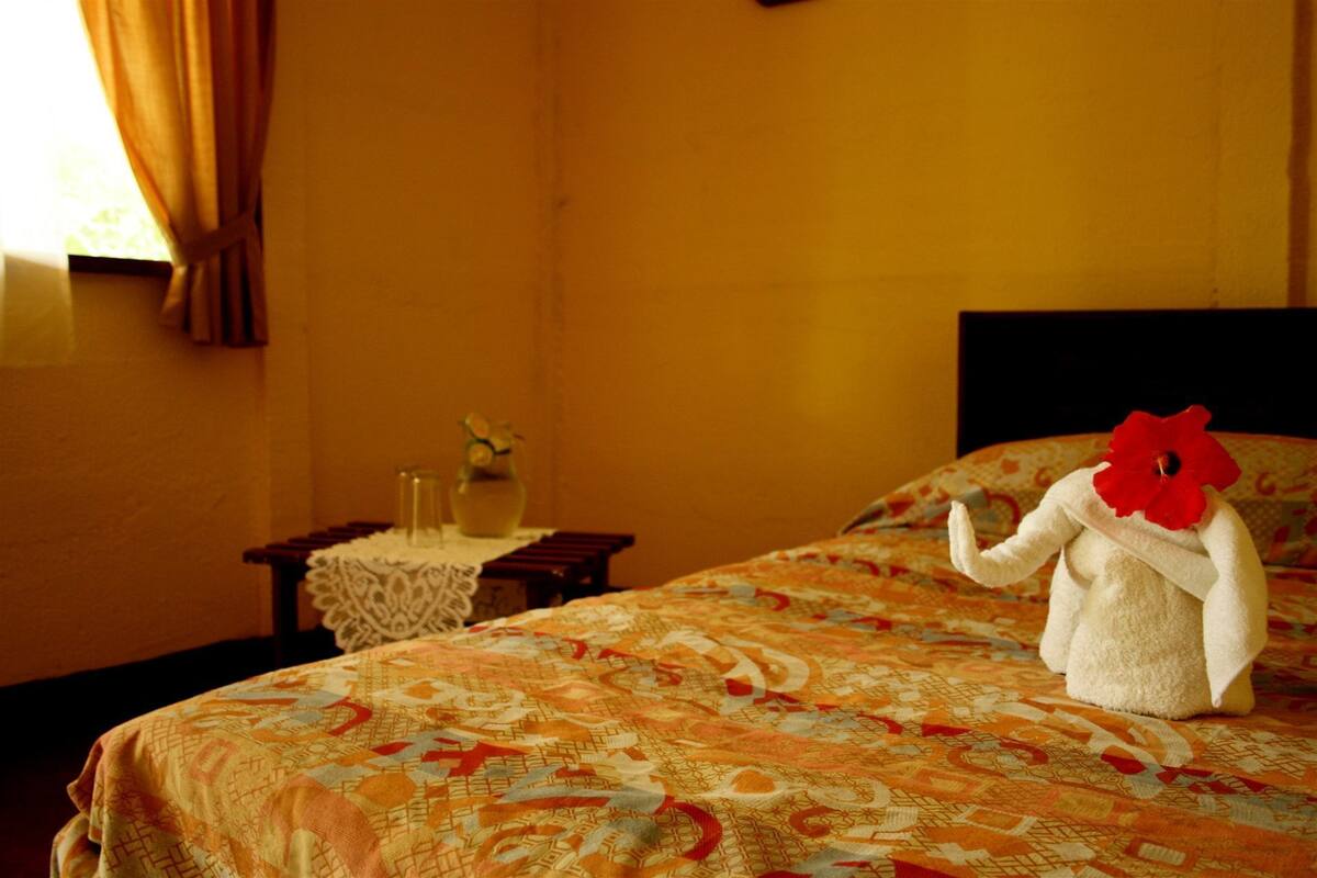 Chambre Double Standard, 1 lit double
