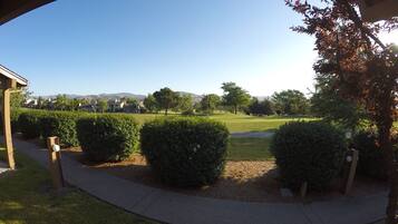 Room, 1 King Bed | Terrace/patio