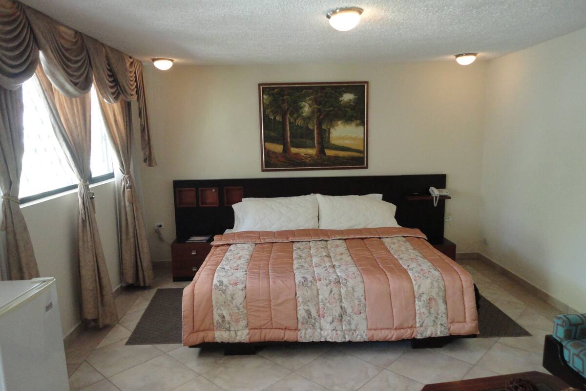 Master Suite | Edredones de plumas, cortinas opacas, tabla de planchar con plancha