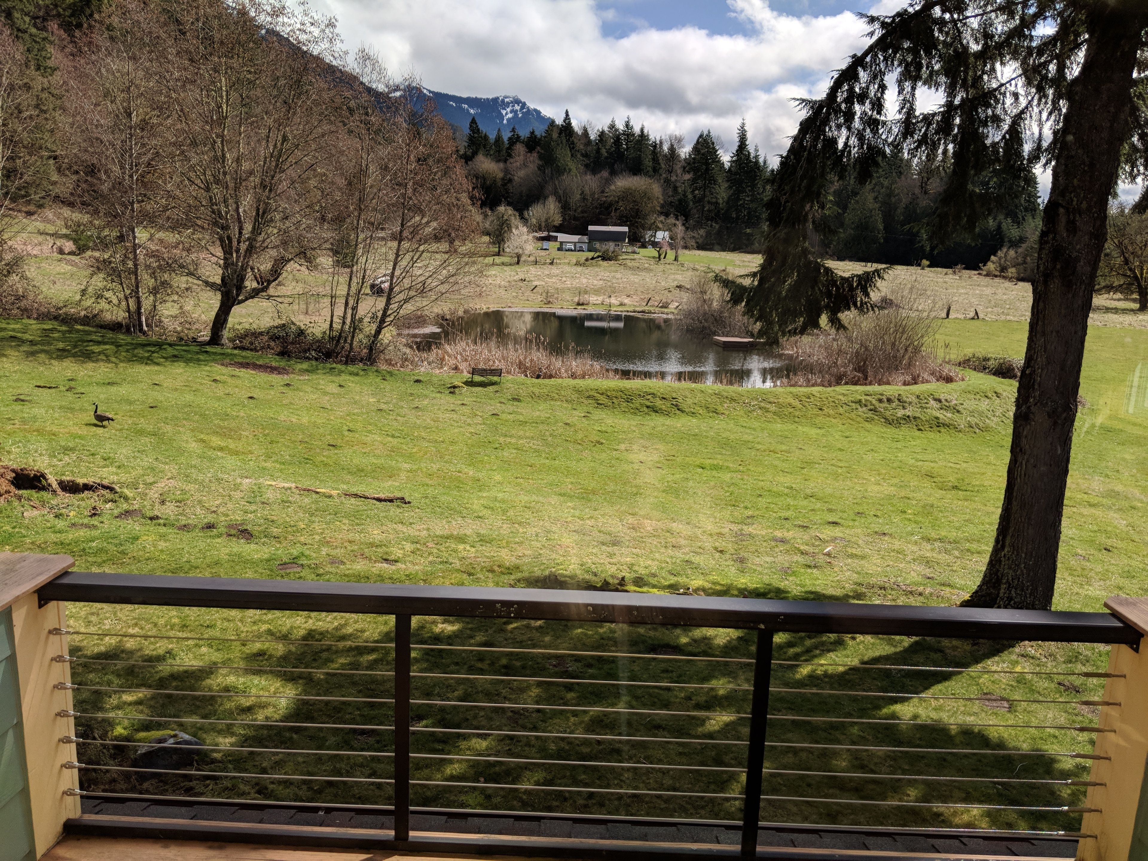 A view from a balcony overlooking a grassy area with a pond, trees, and a mountain in the background.