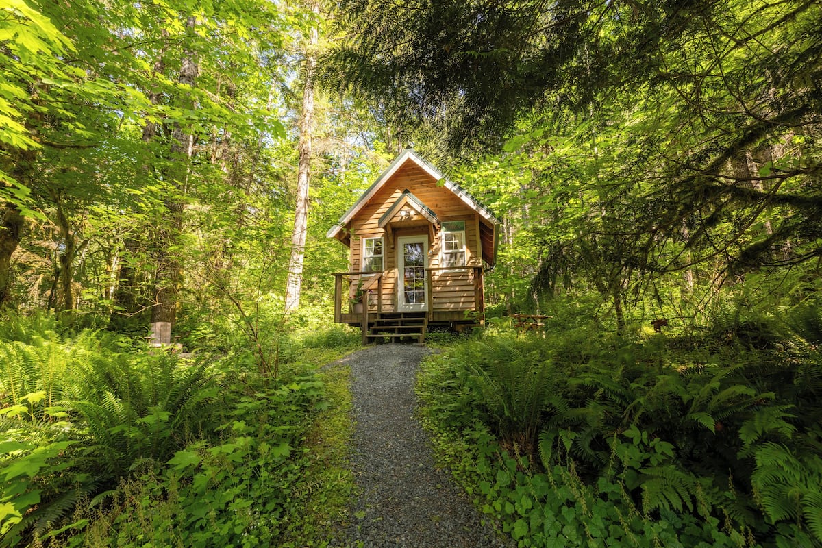 A wooden cabin surrounded by dense forest.