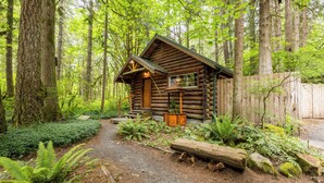 A rustic log cabin with a gravel path leading to the entrance, surrounded by dense forest and ferns. - Copper Creek Inn at Mt Rainier (Ashford)
