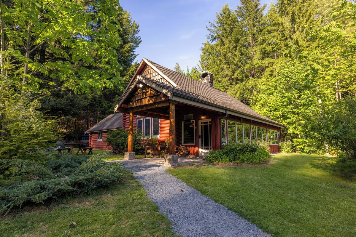 A log cabin with a gravel path leading to the entrance, surrounded by dense greenery and trees.