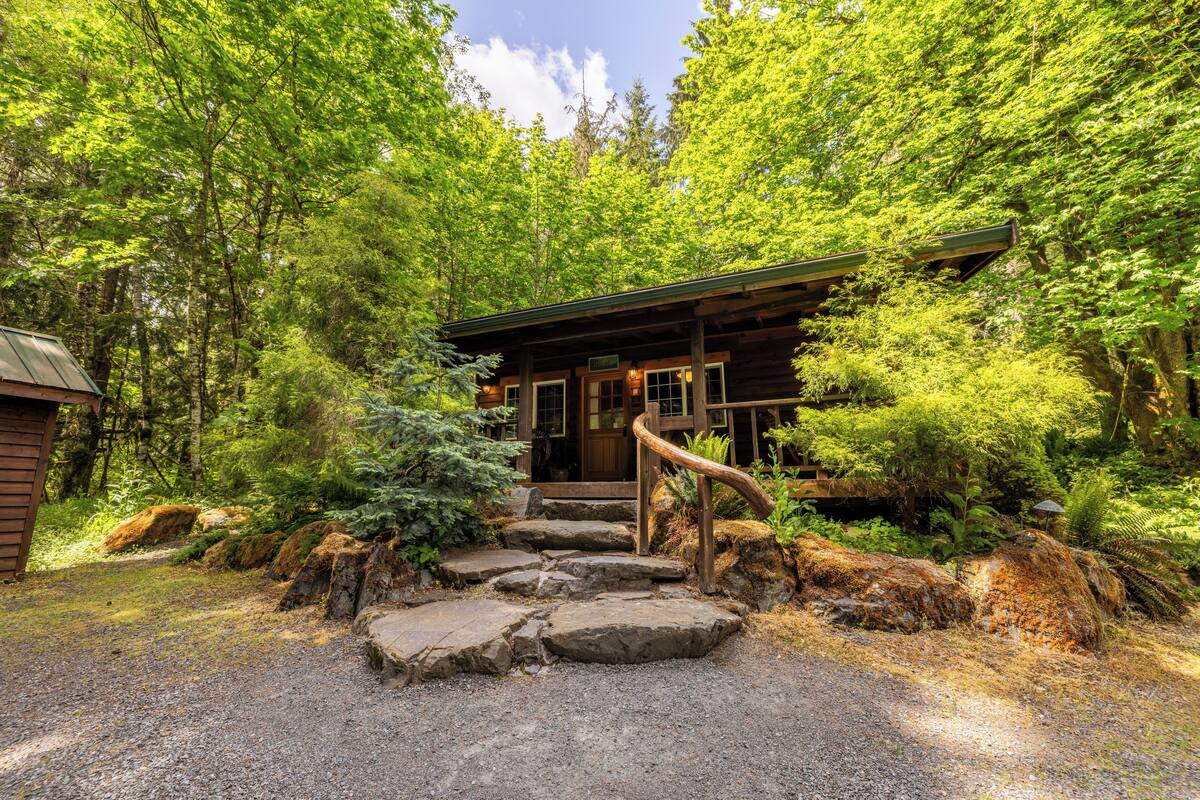 A rustic cabin with a stone staircase leading to a wooden door, surrounded by dense forest.