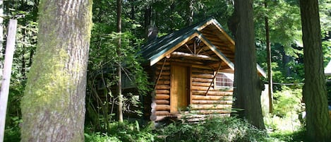 1 slaapkamer, luxe beddengoed