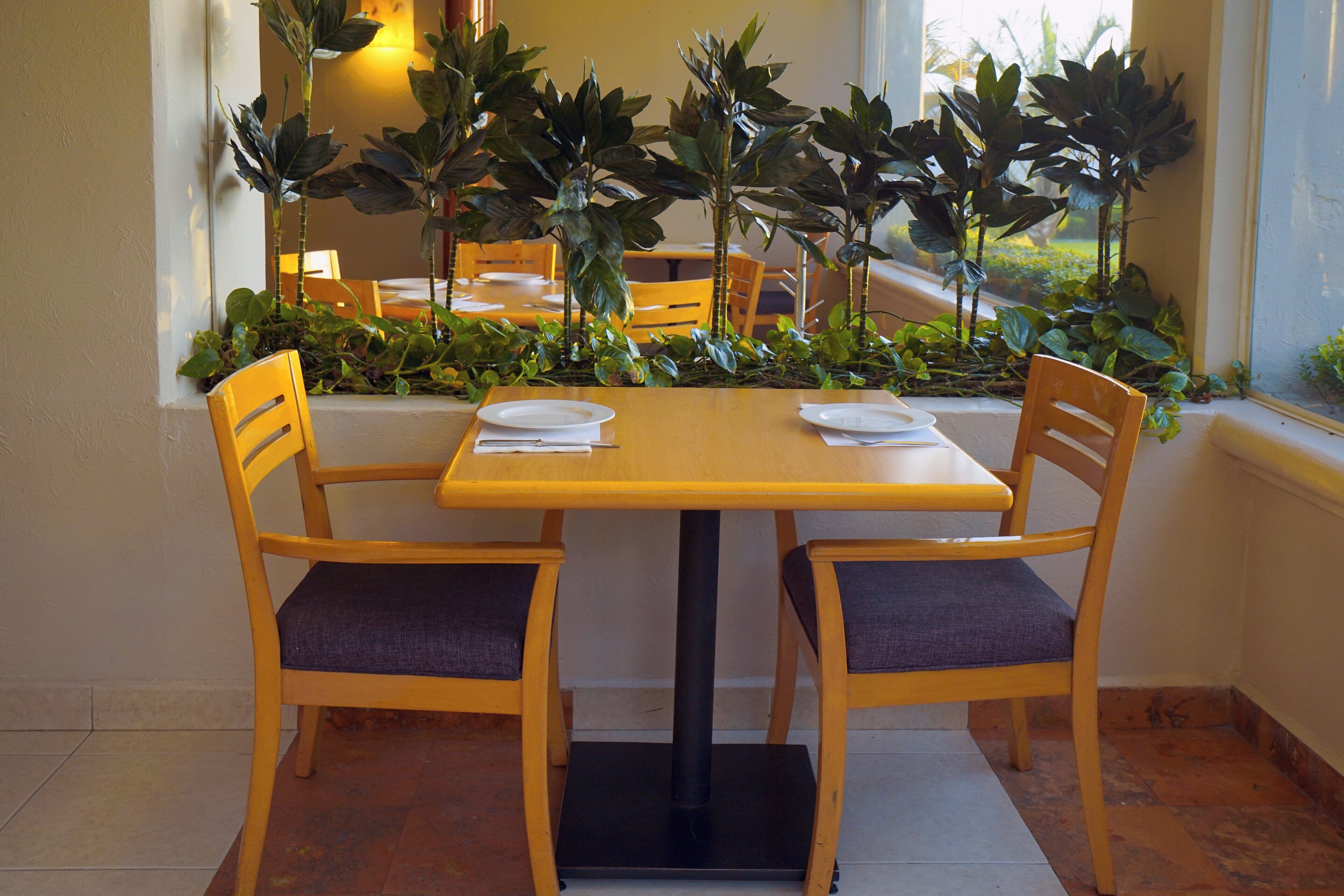 A dining area with a wooden table and two chairs, surrounded by potted plants.