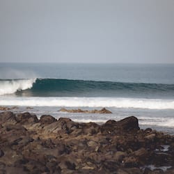 Surfing/boogie boarding