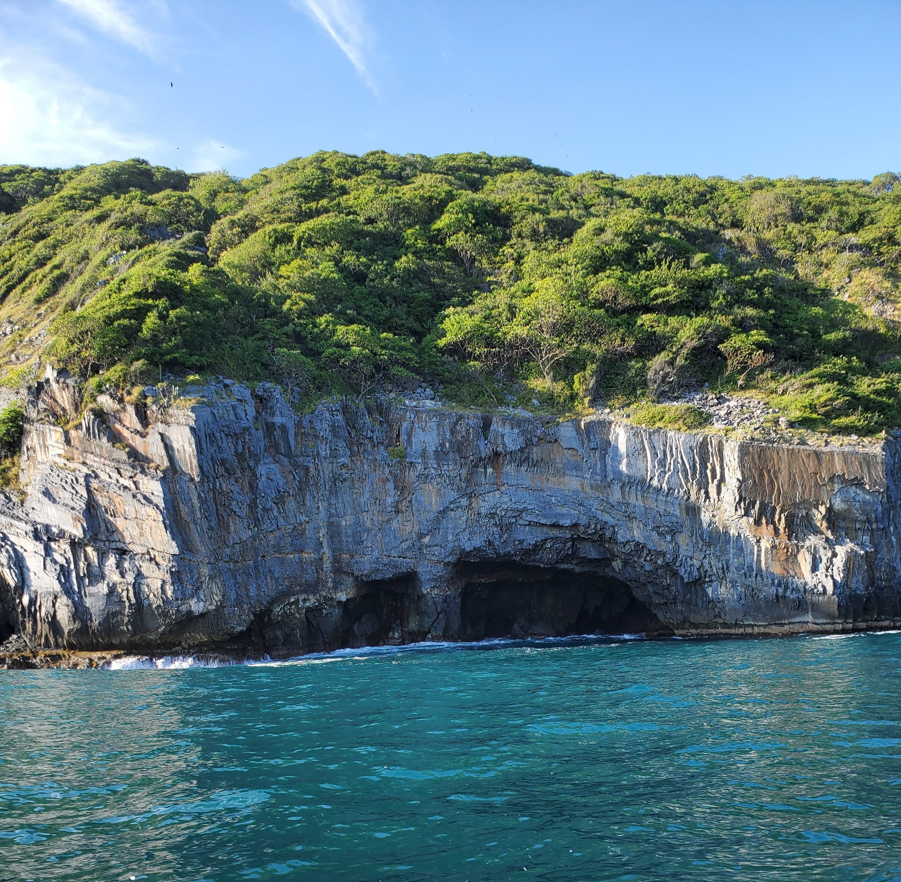 Une falaise côtière avec une entrée de grotte et une végétation luxuriante.