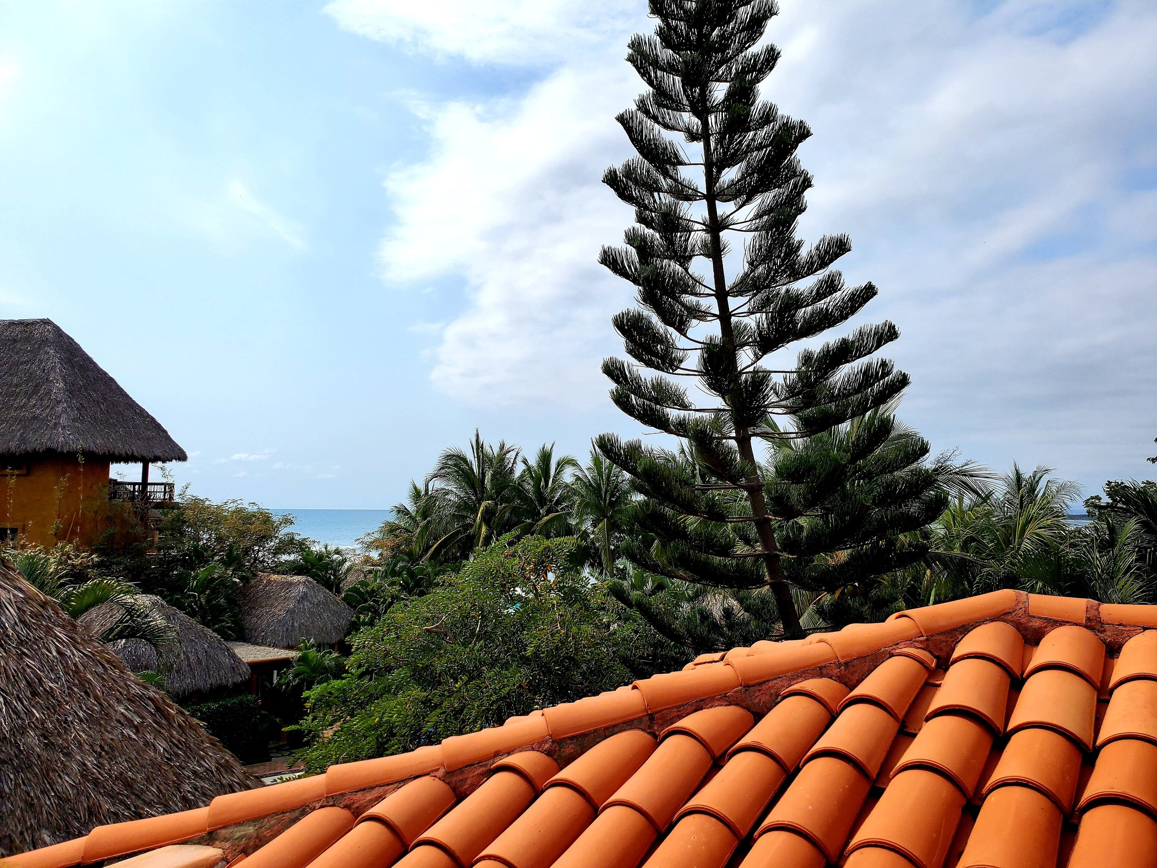 A tropical resort with a thatched-roof building, a palm tree, and terracotta roof tiles.