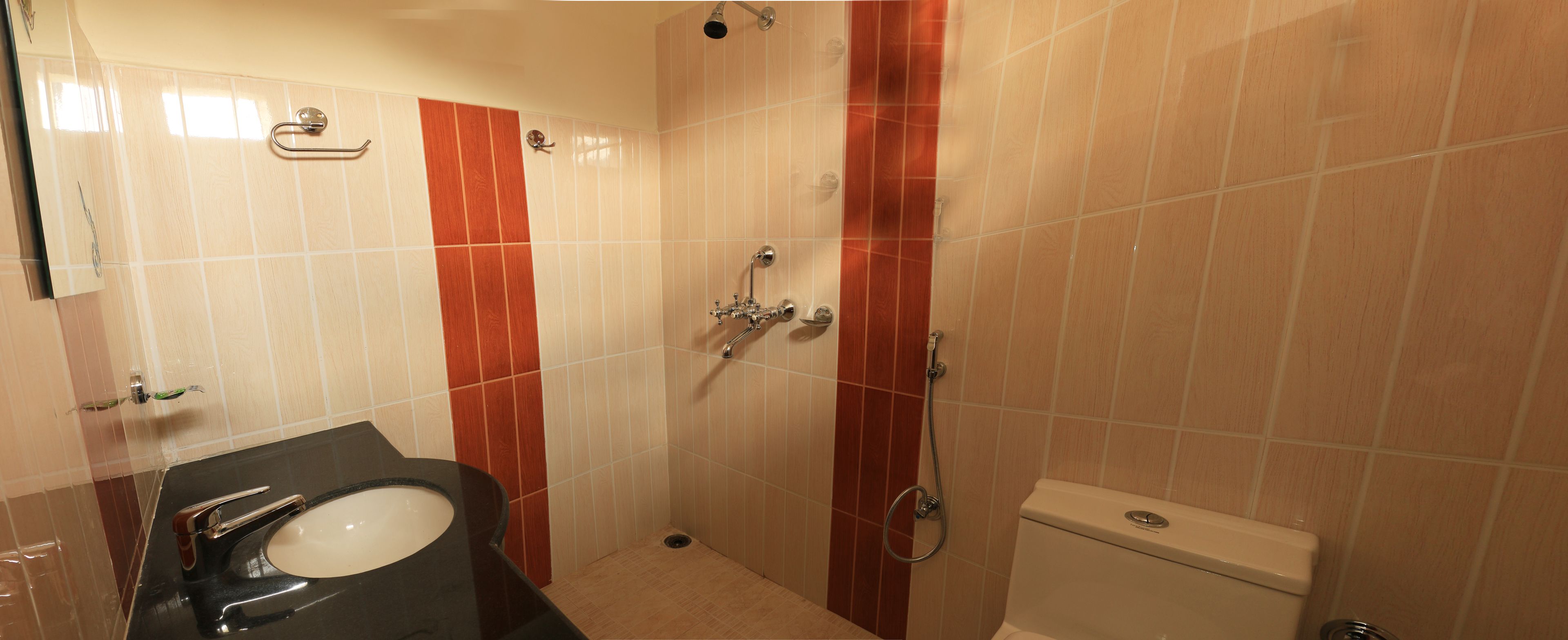 shower, free toiletries, hair dryer, slippers