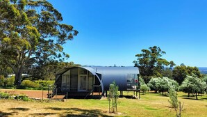 A modern, dome-shaped structure with large windows, surrounded by a grassy field and trees, suggesting a secluded outdoor setting. - Tennessee Hill Chalets (Lowlands)