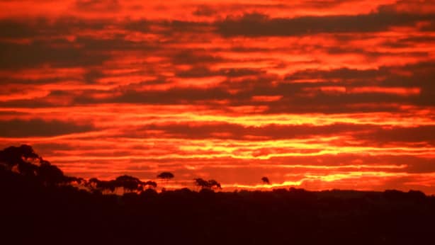 A sunset with a red sky and silhouettes of trees. - Tennessee Hill Chalets (Lowlands)